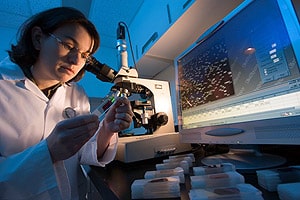 Laboratory Services